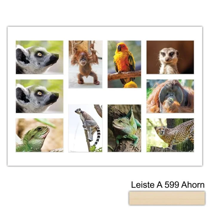 Galerierahmen Design 4239, 50x70, 10 Ausschnitte 13x18 ahorn-natur