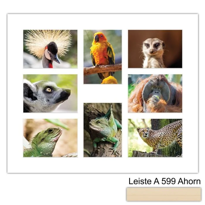 Galerierahmen Design 4241, 50x60, 8 Ausschnitte 13x18 ahorn-natur
