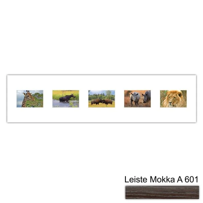 Galerierahmen Design 4215, 25x100, 5 Ausschnitte 10x15 mokka