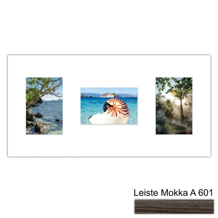 Galerierahmen Design 4251, 25x50, 3 Ausschnitte 10x15 mokka