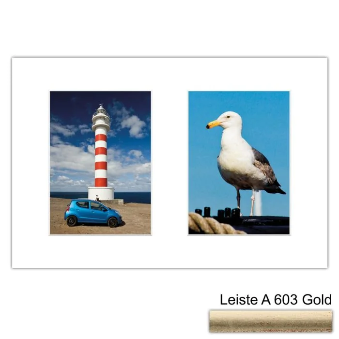 Galerierahmen Design 4204, 25x37,5, 2 Ausschnitte 13x18 altgold
