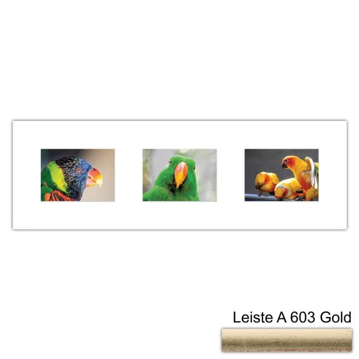 Galerierahmen Design 4217, 25x77, 3 Ausschnitte 13x18 altgold