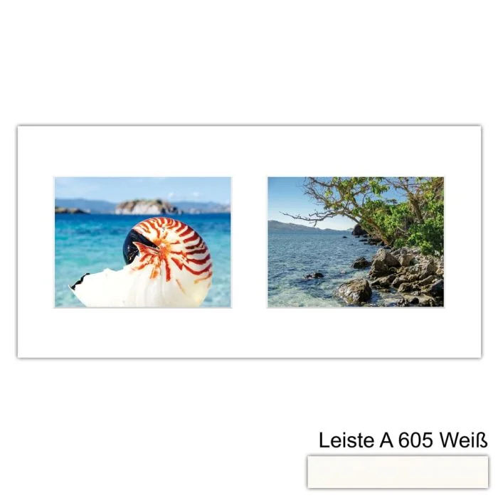 Galerierahmen Design 4220, 25x50, 2 Ausschnitte 15x20 schneeweiss