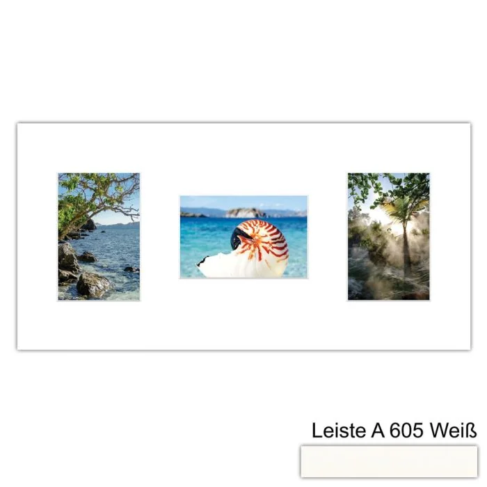 Galerierahmen Design 4251, 25x50, 3 Ausschnitte 10x15 schneeweiss