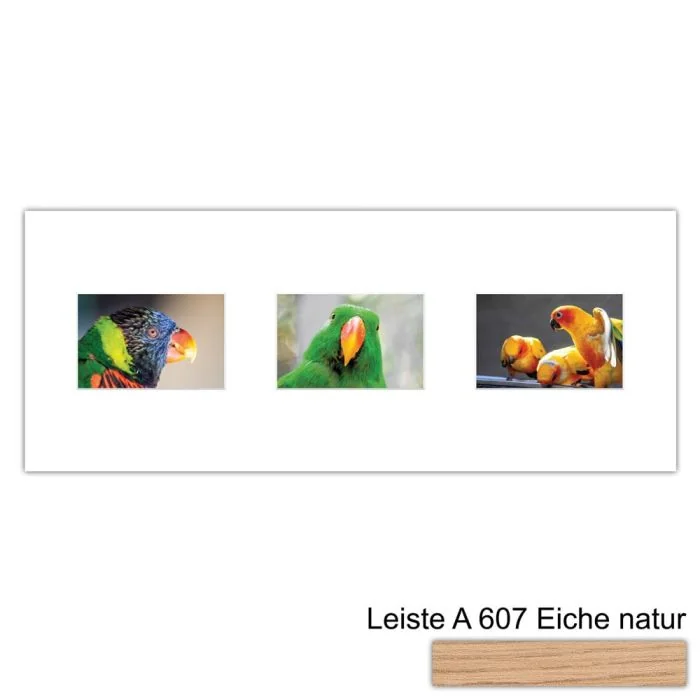 Galerierahmen Design 4213, 25x62,5, 3 Ausschnitte 10x15 braun-eiche-natur