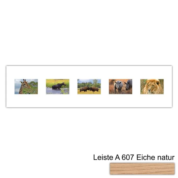 Galerierahmen Design 4215, 25x100, 5 Ausschnitte 10x15 braun-eiche-natur