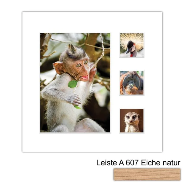 Galerierahmen Design 4224, 24x24, 1 Ausschnitt 13x18, 3 Ausschnitte 5x5 braun-eiche-natur