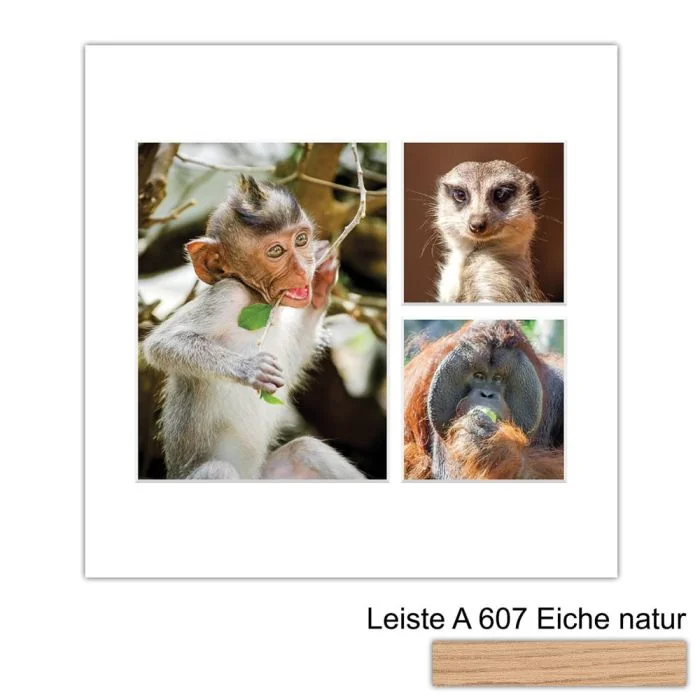 Galerierahmen Design 4225, 30x30, 1 Ausschnitt 15x20, 2 Ausschnitte 10x10 braun-eiche-natur