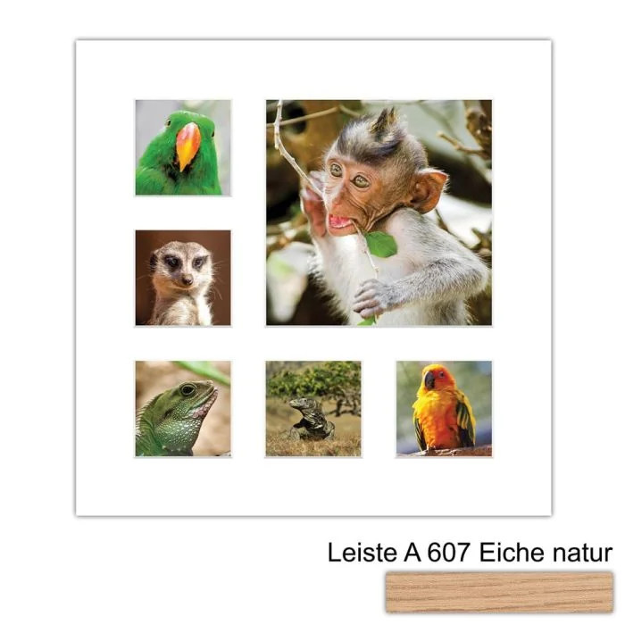 Galerierahmen Design 4227, 40x40, 1 Ausschnitt 20x20, 5 Ausschnitte 9x9 braun-eiche-natur