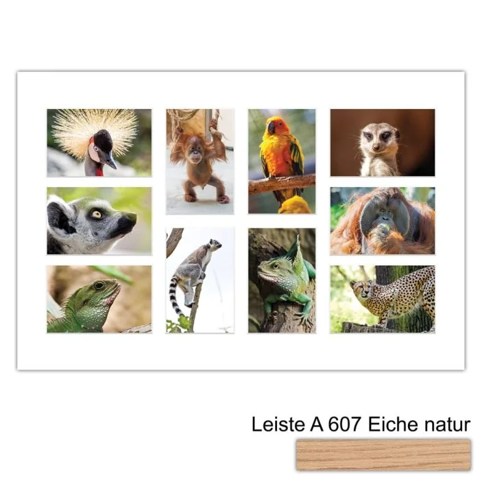 Galerierahmen Design 4232, 40x60, 10 Ausschnitte 10x15 braun-eiche-natur