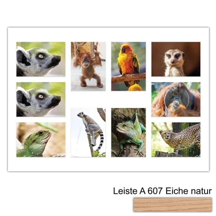 Galerierahmen Design 4239, 50x70, 10 Ausschnitte 13x18 braun-eiche-natur