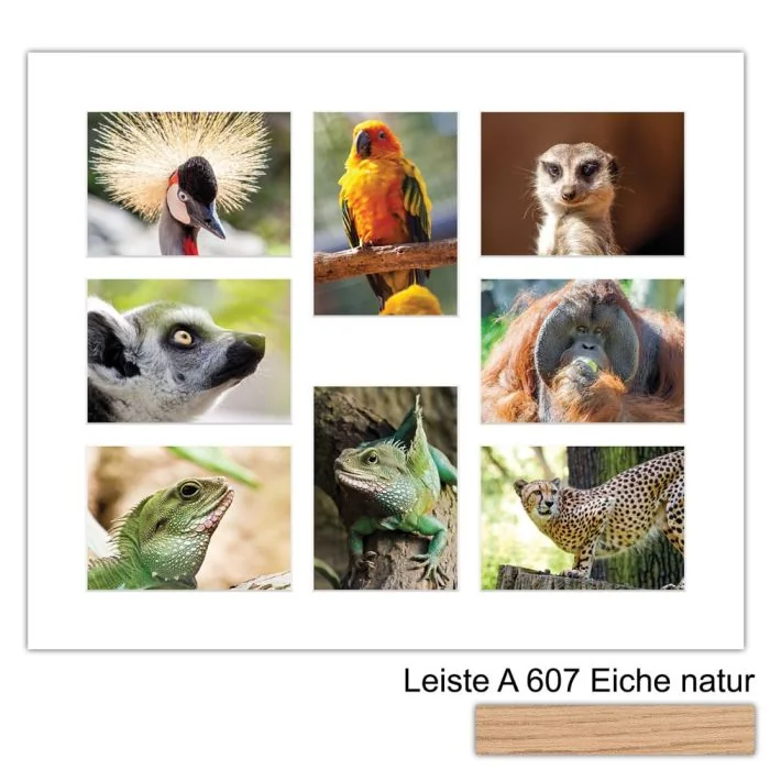 Galerierahmen Design 4241, 50x60, 8 Ausschnitte 13x18 braun-eiche-natur