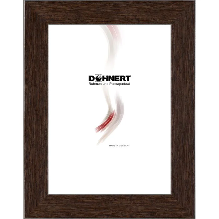 Kunststoffrahmen D317 dunkelbraun-silber