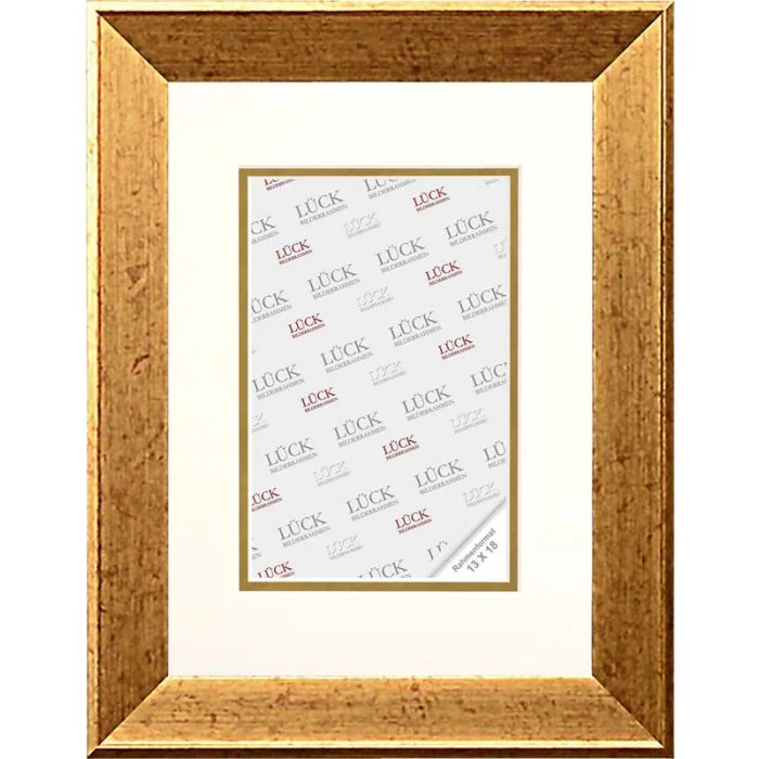 Kunststoffrahmen SL272 Gold design
