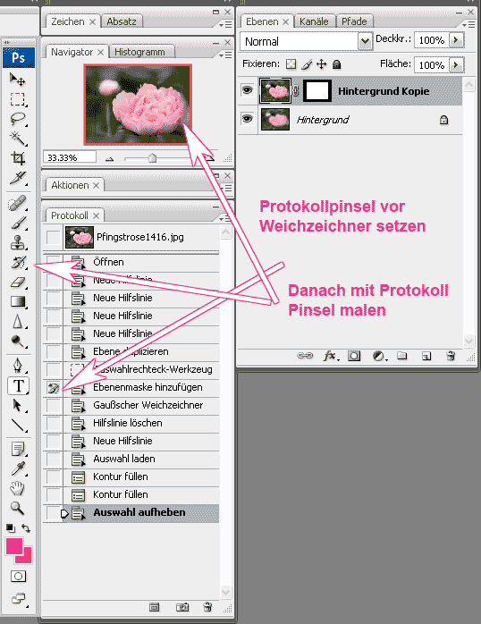 protokollpinsel