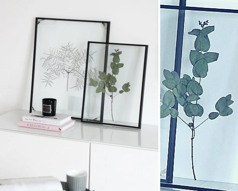 DIY-Floating-Frame-Herbarium