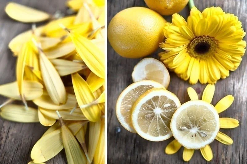 Diptychon mit Sonnenblume und Blätter der Sonnenblume