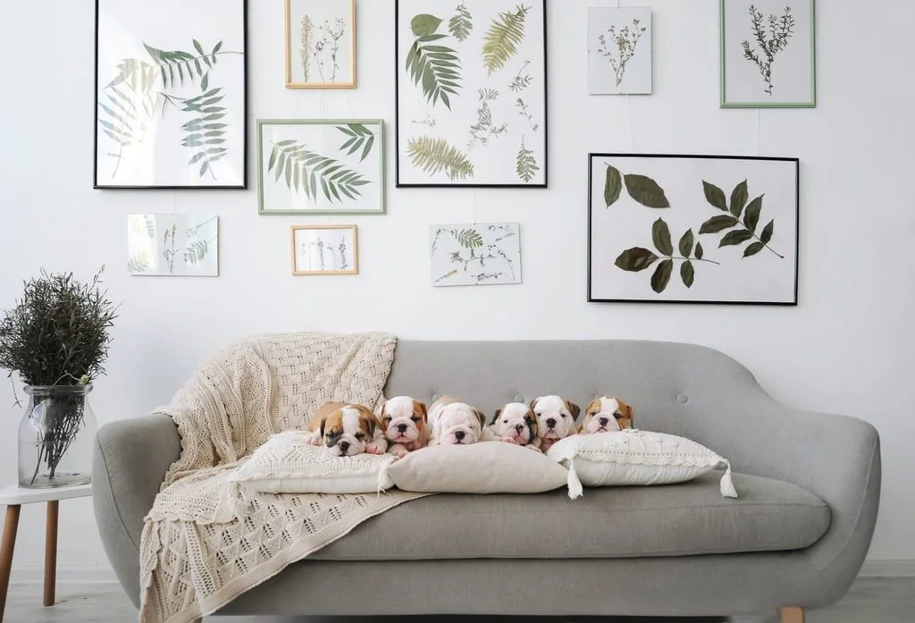 Bilderwand mit Blättermotiven