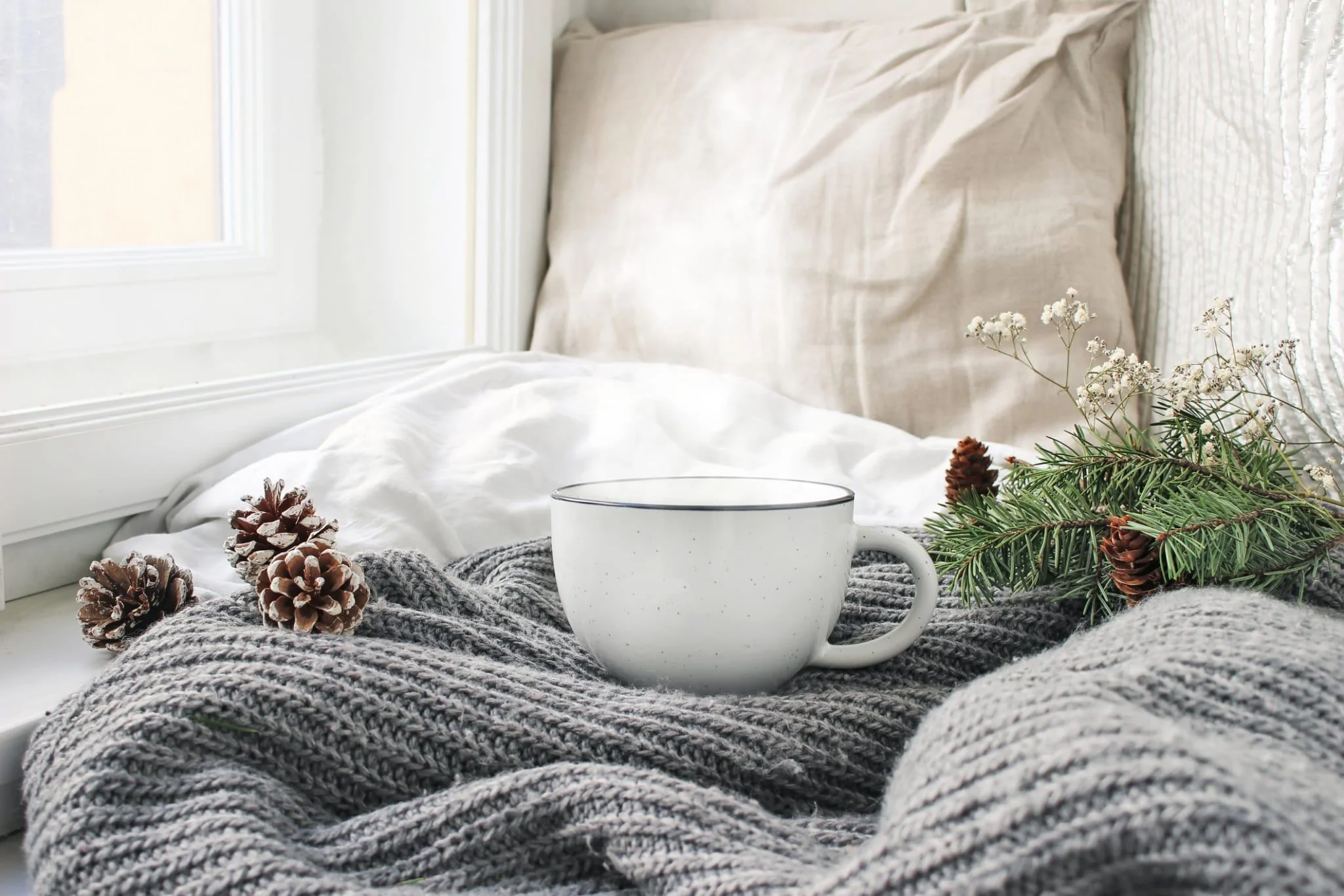 Hygge Kissen und Decke am Fenster mit Zweigen.